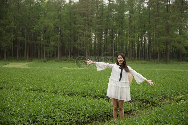 感受武汉凤凰阳光桑拿,养生新选择 感受武汉凤凰阳光桑拿,养生新选择